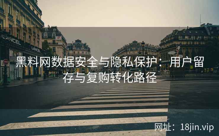 黑料网数据安全与隐私保护：用户留存与复购转化路径