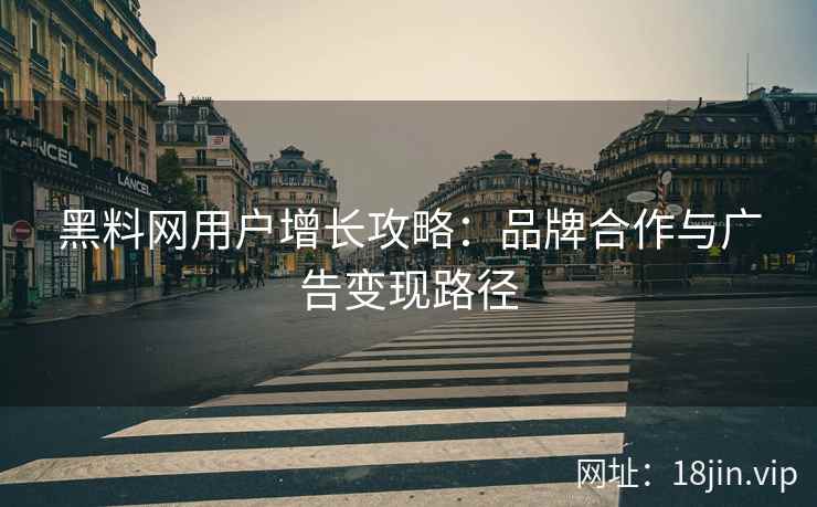 黑料网用户增长攻略：品牌合作与广告变现路径