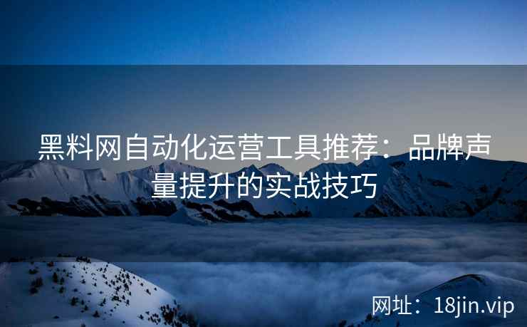 黑料网自动化运营工具推荐：品牌声量提升的实战技巧