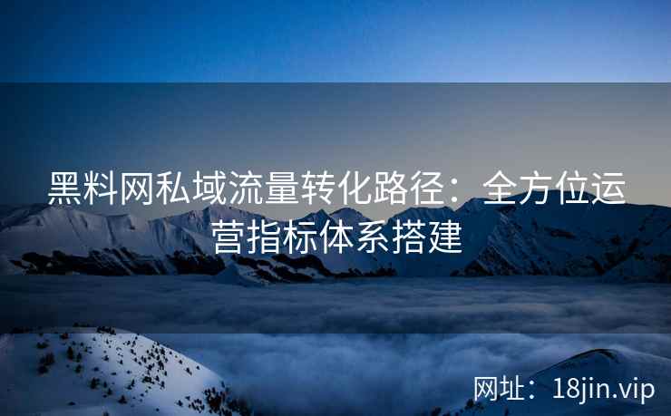 黑料网私域流量转化路径：全方位运营指标体系搭建