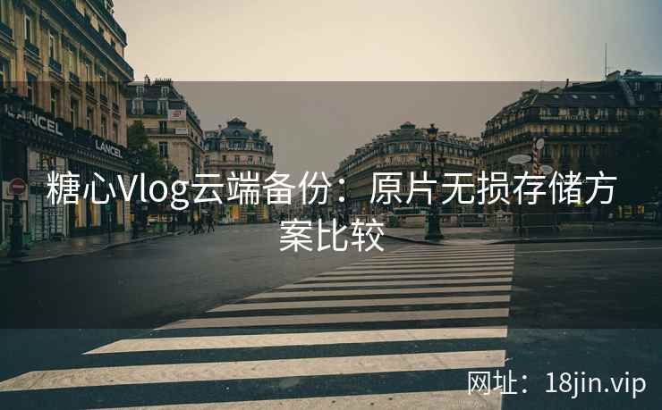 糖心Vlog云端备份：原片无损存储方案比较