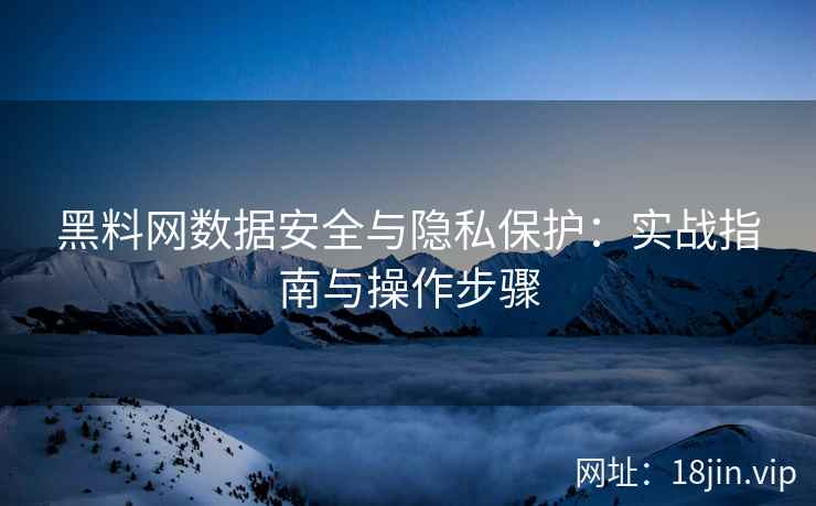 黑料网数据安全与隐私保护：实战指南与操作步骤
