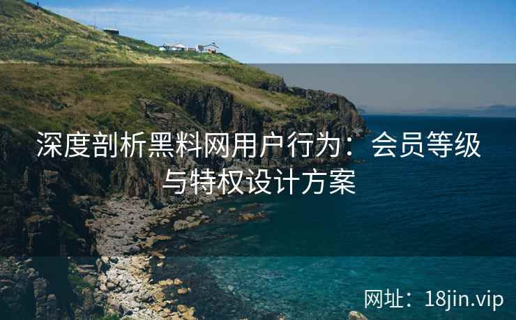 深度剖析黑料网用户行为：会员等级与特权设计方案